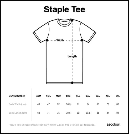 Raise Your Standards Launch T-Shirt